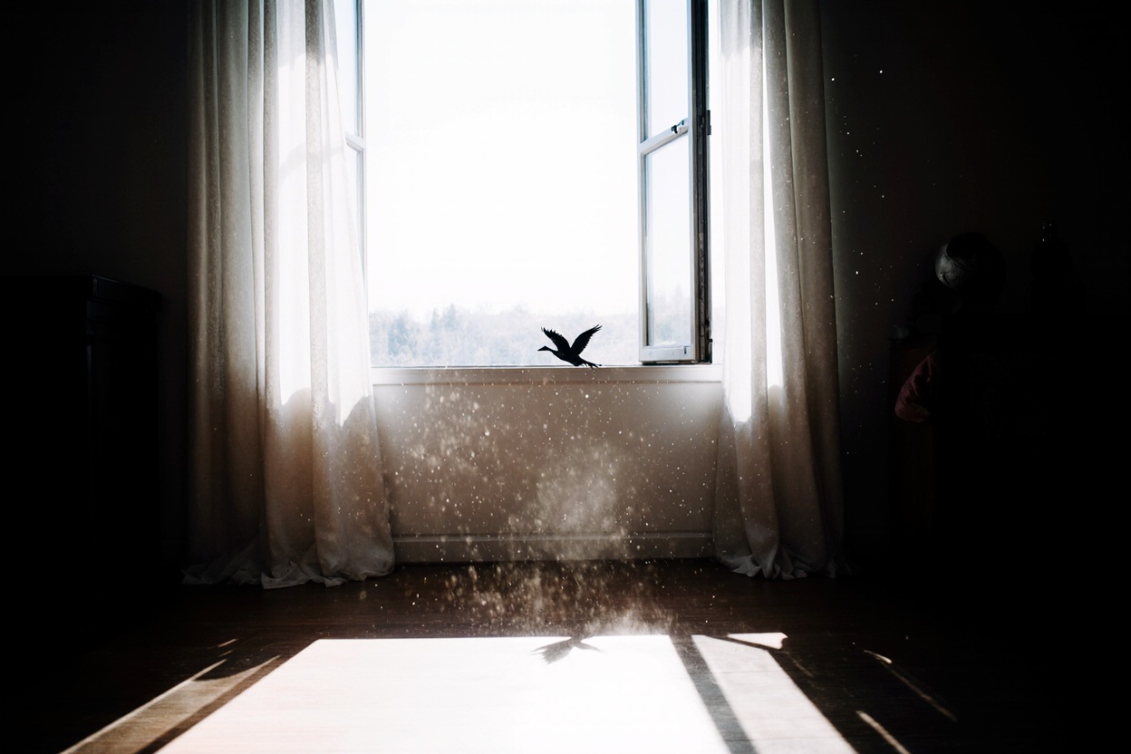 ليتها تقرأ (بقلم فدى الحاج)